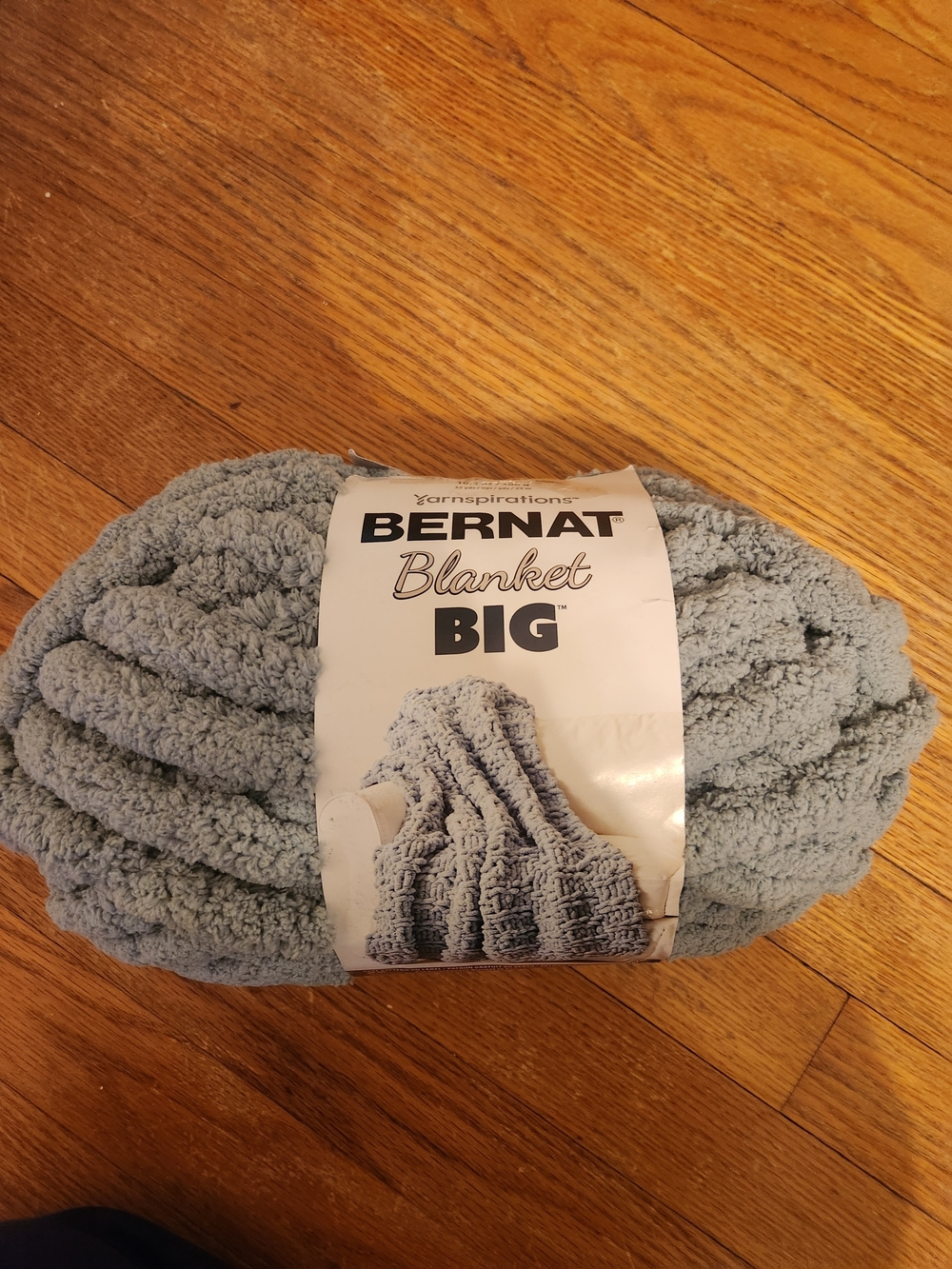 Bernat Blanket Big Plush Yarn - Misty Green
